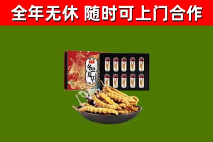蚌埠回收冬虫夏草价格